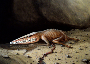 Naissance  &copy; Khylvyh 2013
