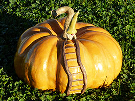 Citrouille et Lutin - Nhel