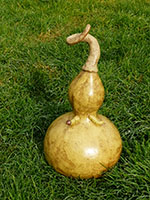 Courge et sa chenille - Nhel