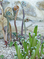 Crosses de Foug&egrave;res - Nhel