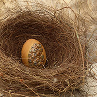 &OElig;uf sign&eacute; Nhel