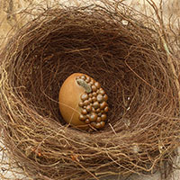 &OElig;uf sign&eacute; Nhel