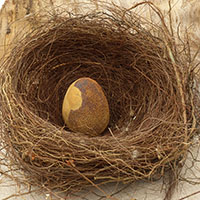 &OElig;uf sign&eacute; Nhel