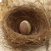 &OElig;uf sign&eacute; Nhel