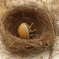 &OElig;uf sign&eacute; Nhel