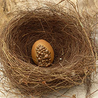 &OElig;uf sign&eacute; Nhel