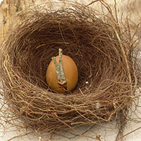 &OElig;uf sign&eacute; Nhel