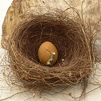 &OElig;uf sign&eacute; Nhel