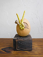 &OElig;uf sign&eacute; Nhel