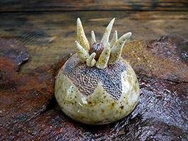 Graine Lunaire - Nhel