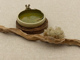 Gamelle pour chat by Nhel