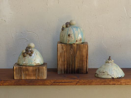 Sali&egrave;res M&eacute;di&eacute;vales