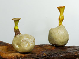 Caudexo&iuml;des Trompettus  by Nhel