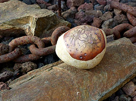 Ast&eacute;ro&iuml;de Lunaire by Nhel