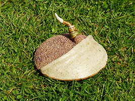 Disco Germinus by Nhel