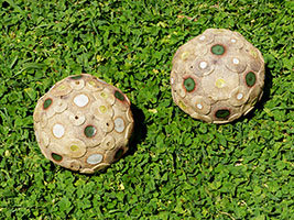 Sph&egrave;res Caulifores - Nhel