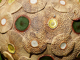 Sph&egrave;re Caulifore - Nhel