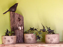 Pots Lunaires by Nhel