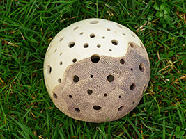 d&eacute;vidoir - Nhel