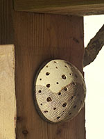 D&eacute;vidoir &agrave; Laine - Nhel