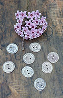 Boutons Celtiques - Nhel